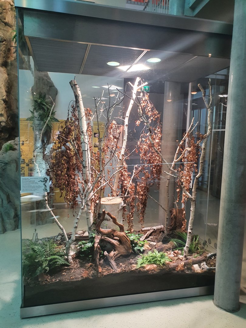 Museum Niederösterreich