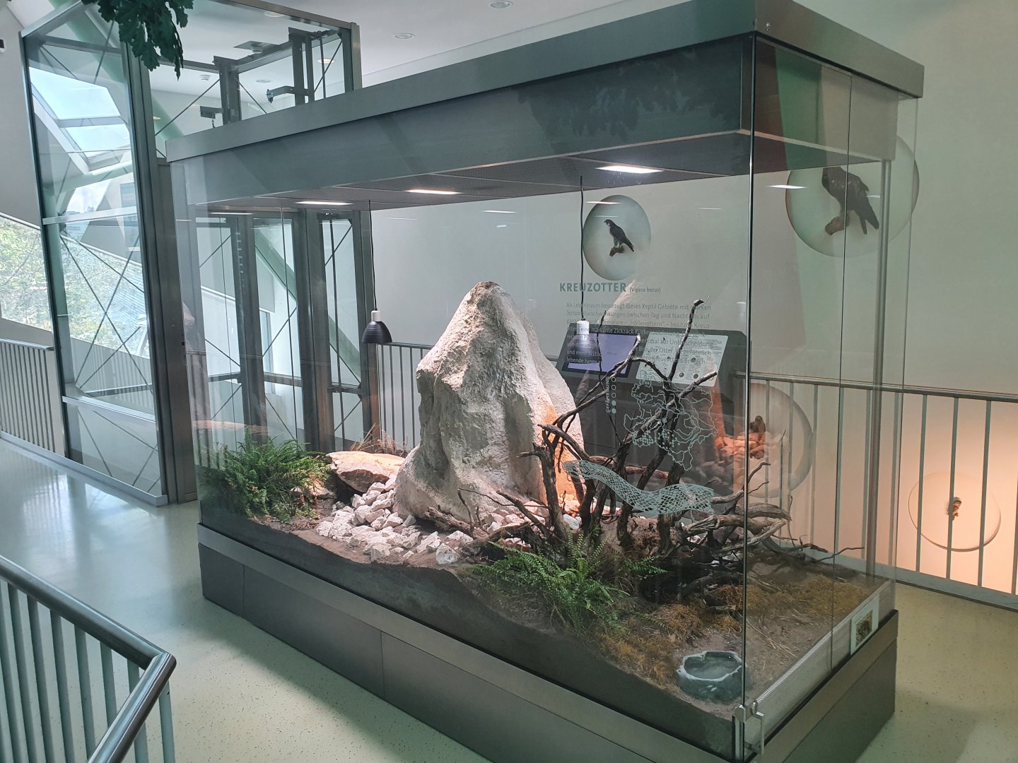 Museum Niederösterreich