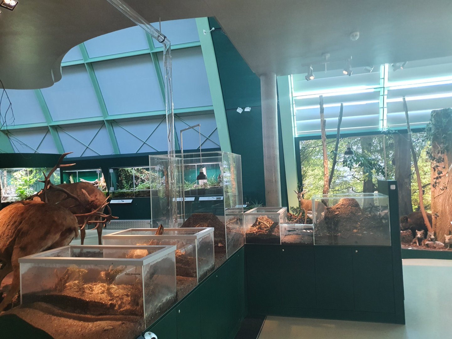 Museum Niederösterreich