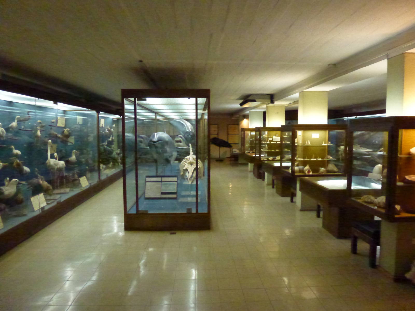 Museum, November 2013.