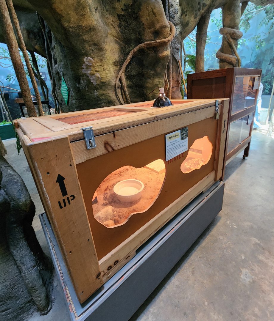 Museum Of Arts & Sciences (GA) - Ball Python "crate" exhibit