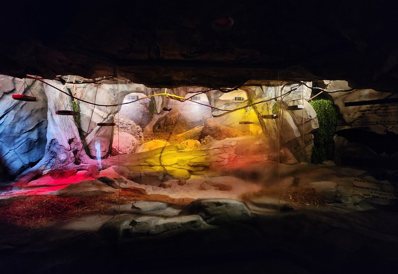 Museum Of Arts & Sciences (GA) -Bat cave exhibit