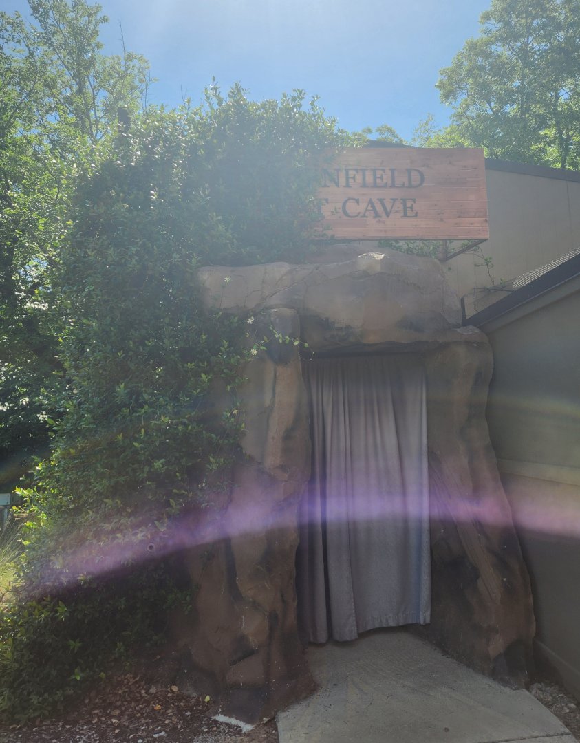 Museum Of Arts & Sciences (GA) - Entrance to bat cave
