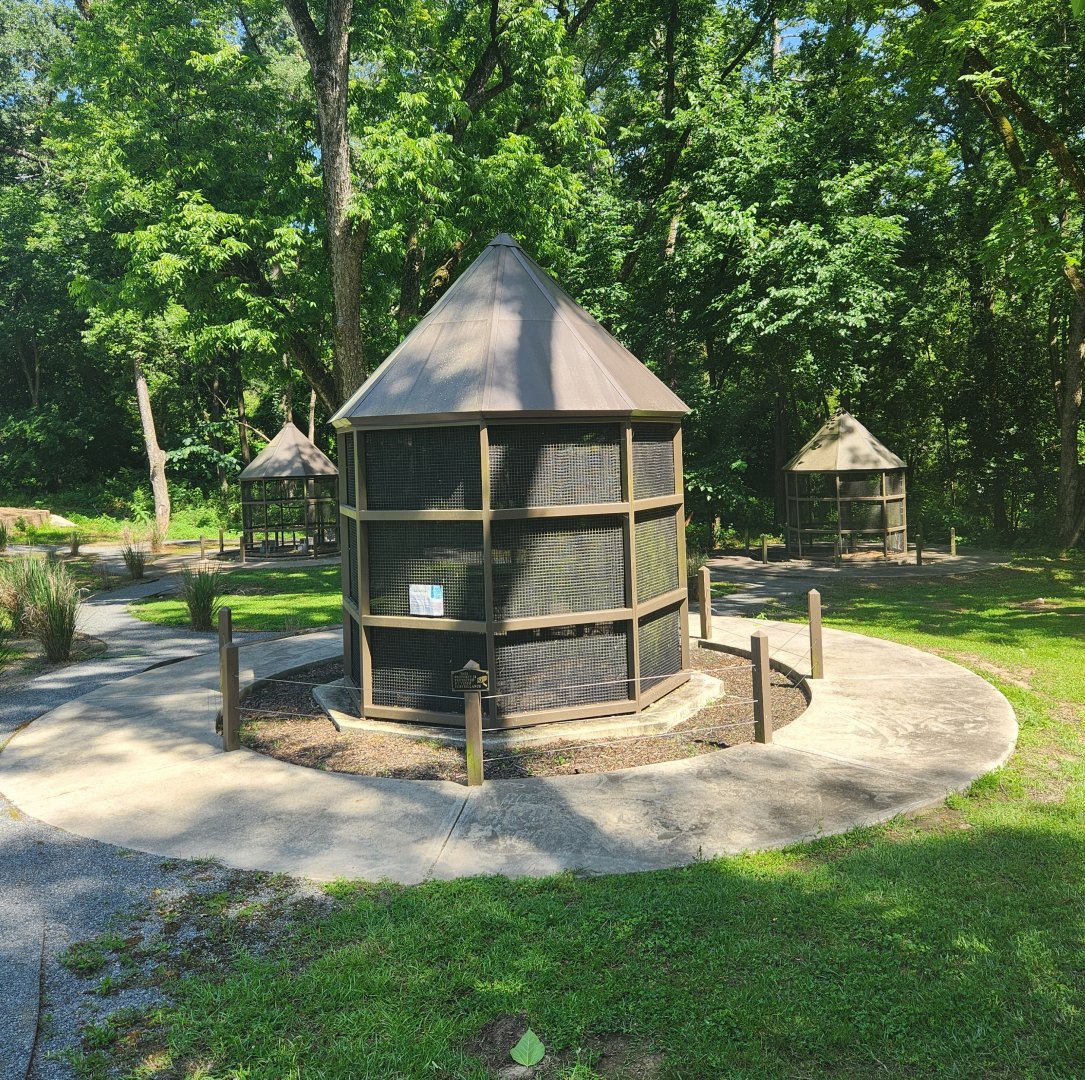 Museum Of Arts & Sciences (GA) - Raptor aviary exhibits (mostly abandoned)