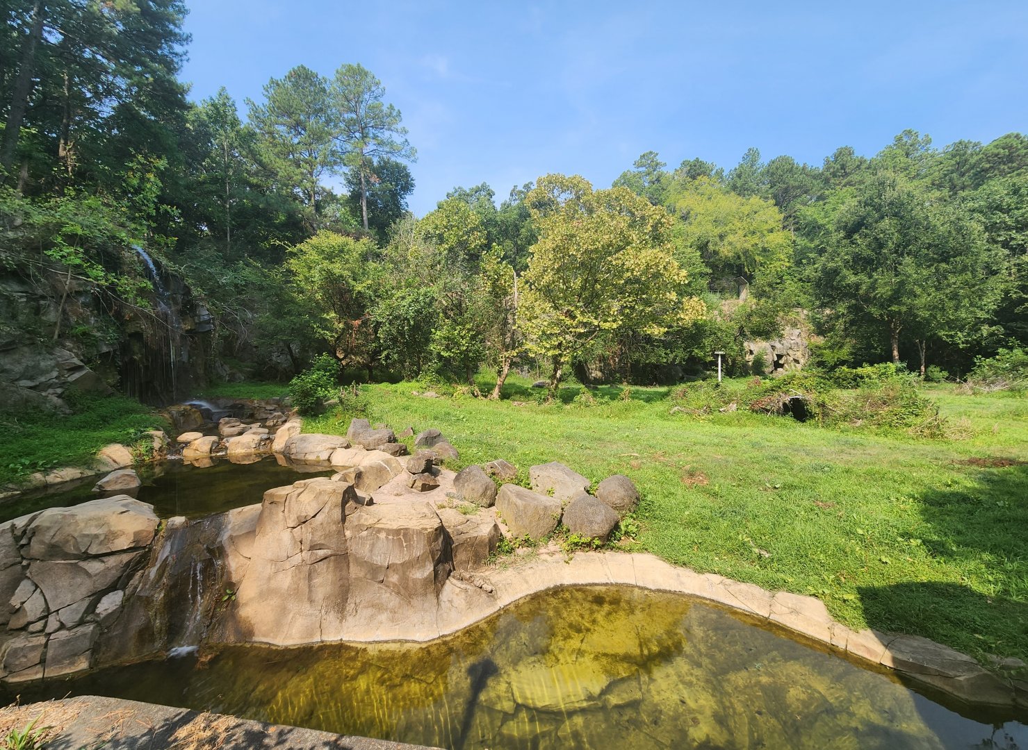Museum Of L&S (2023) - American Black Bear enclosure