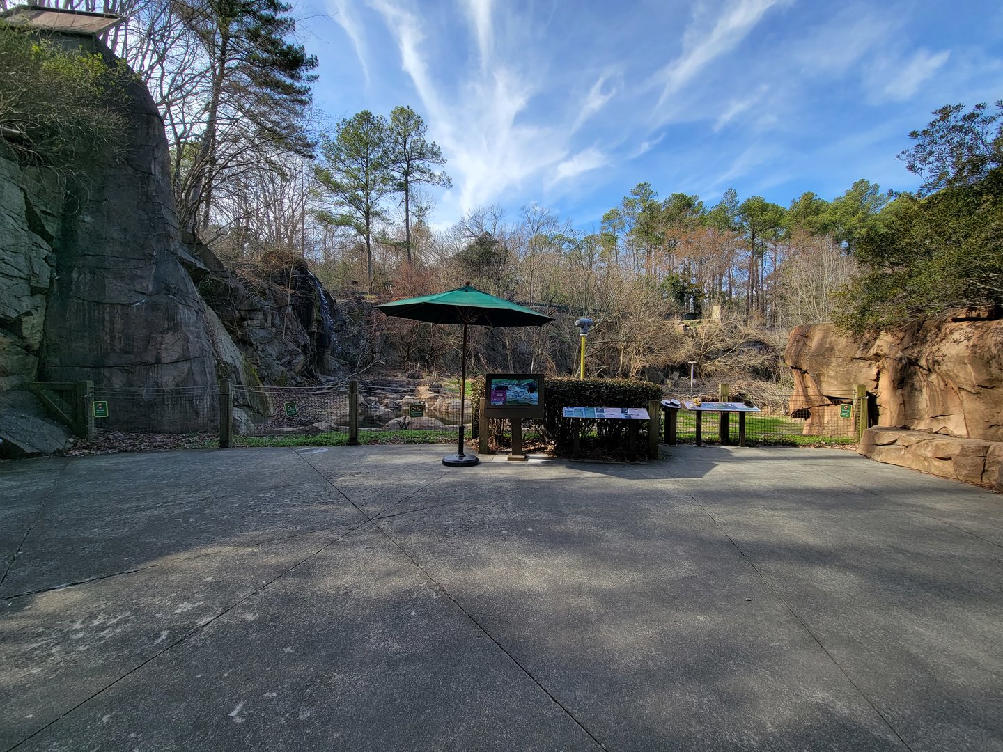 Museum of Life+Science - Black bear viewing #1