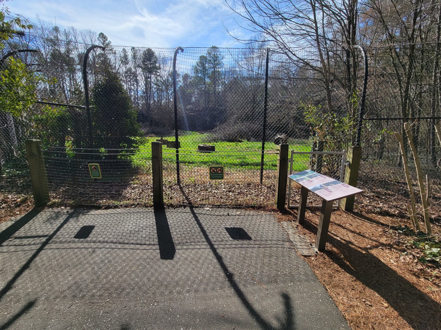 Museum of Life+Science - Black bear viewing #2