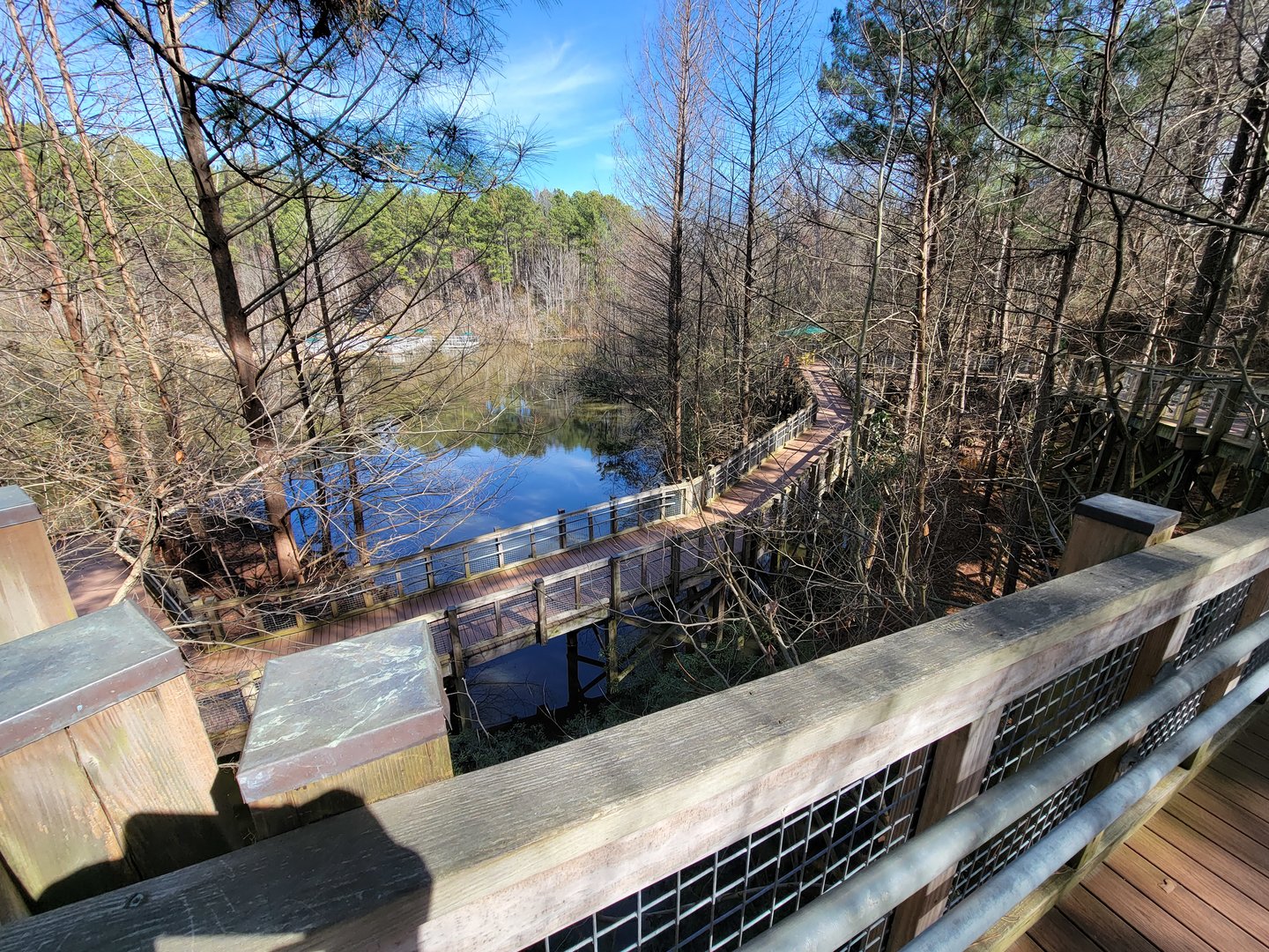 Museum of Life+Science - Boardwalk to outdoor animals