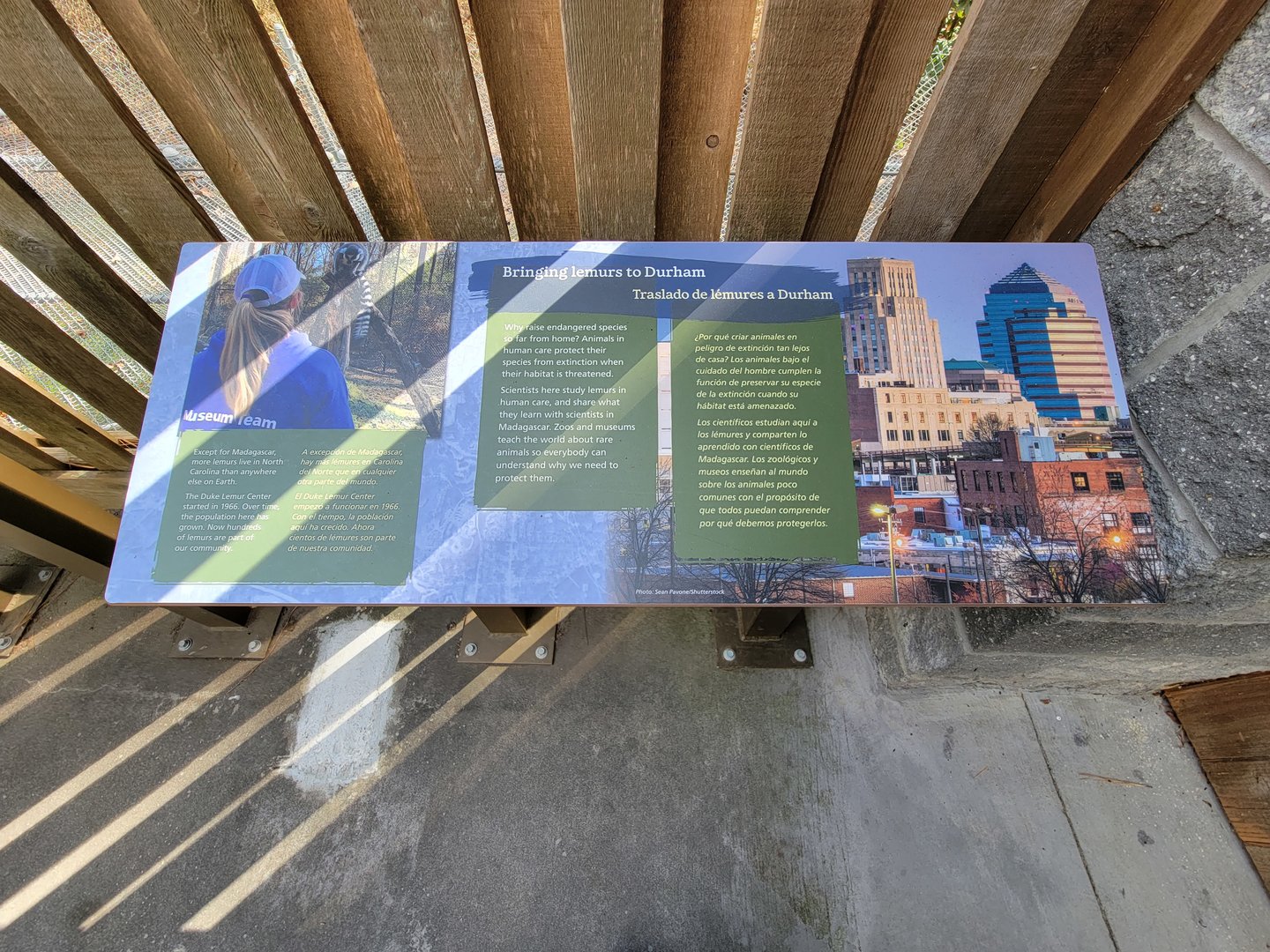 Museum of Life+Science - Bringing lemurs to Durham