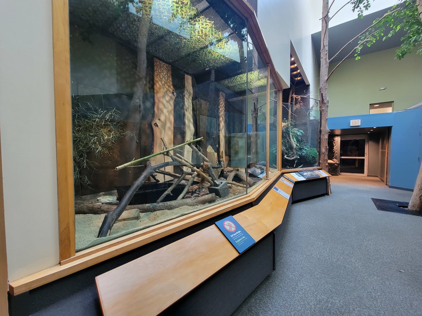 Museum of Life+Science - Carolina Wildlife, American mink