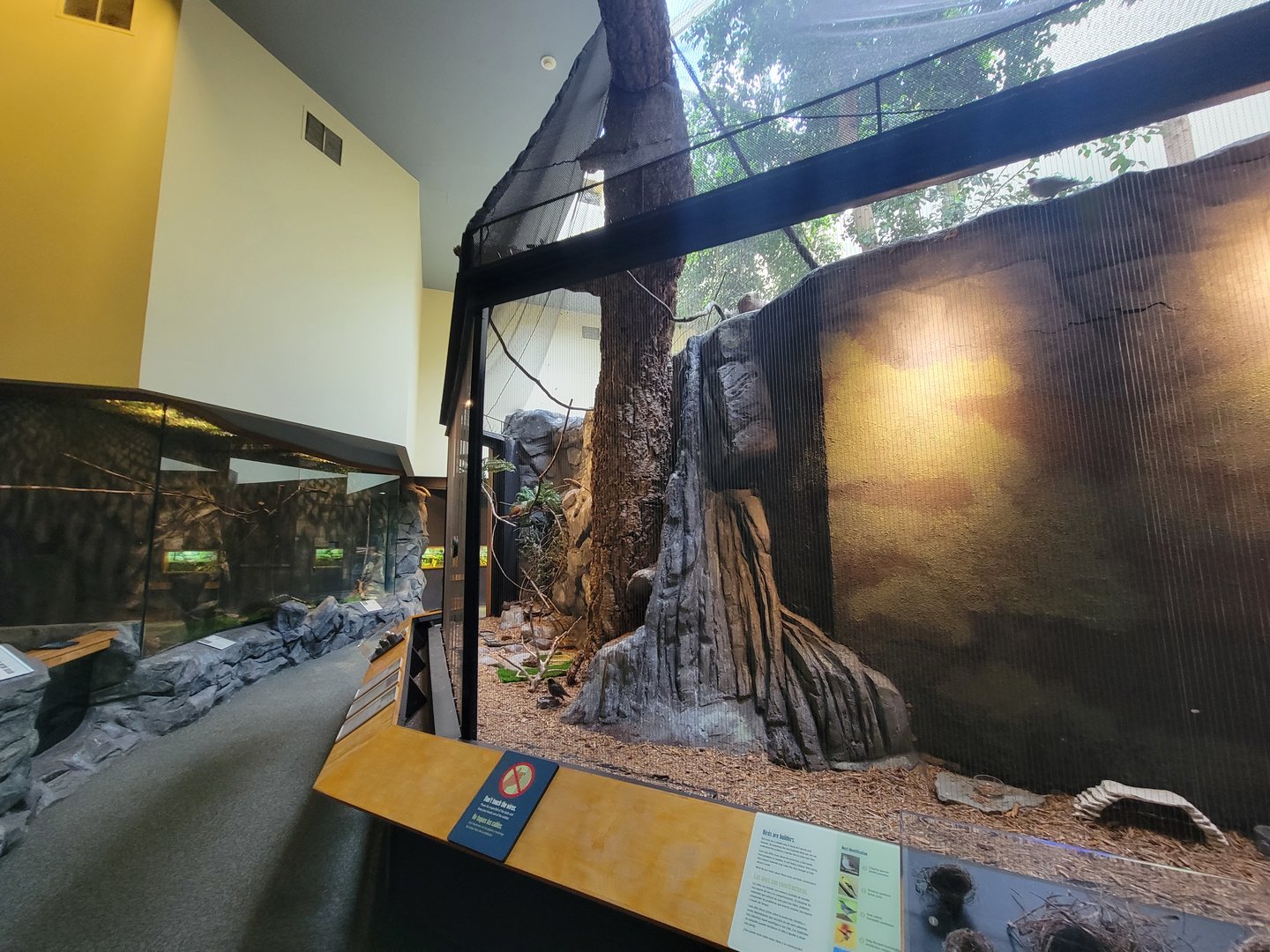 Museum of Life+Science - Carolina Wildlife, Aviaries