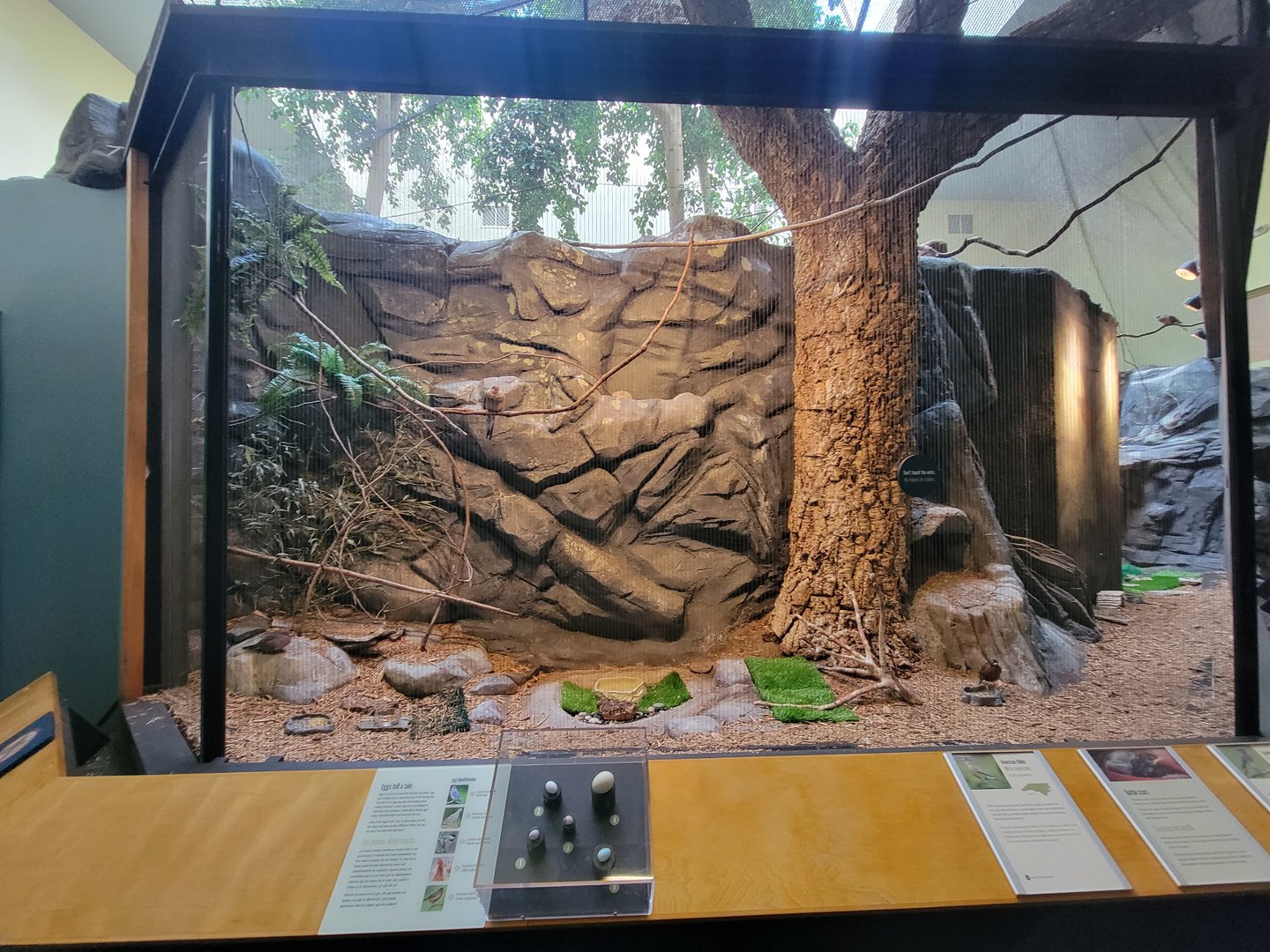 Museum of Life+Science - Carolina Wildlife, Aviary