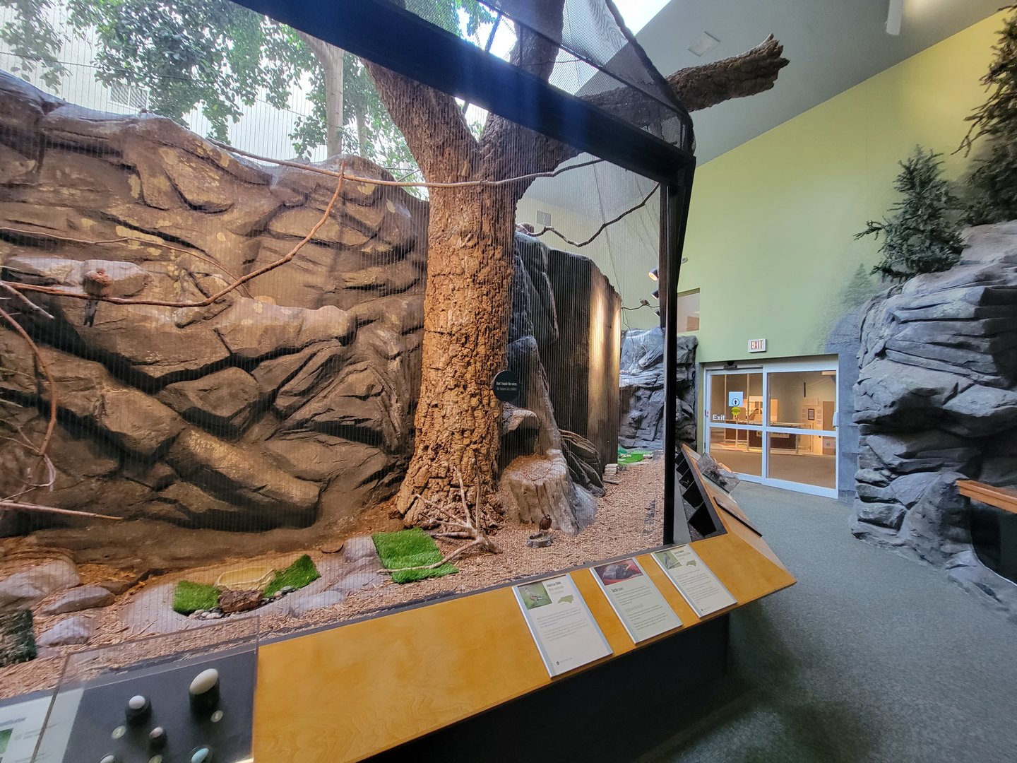 Museum of Life+Science - Carolina Wildlife, Aviary