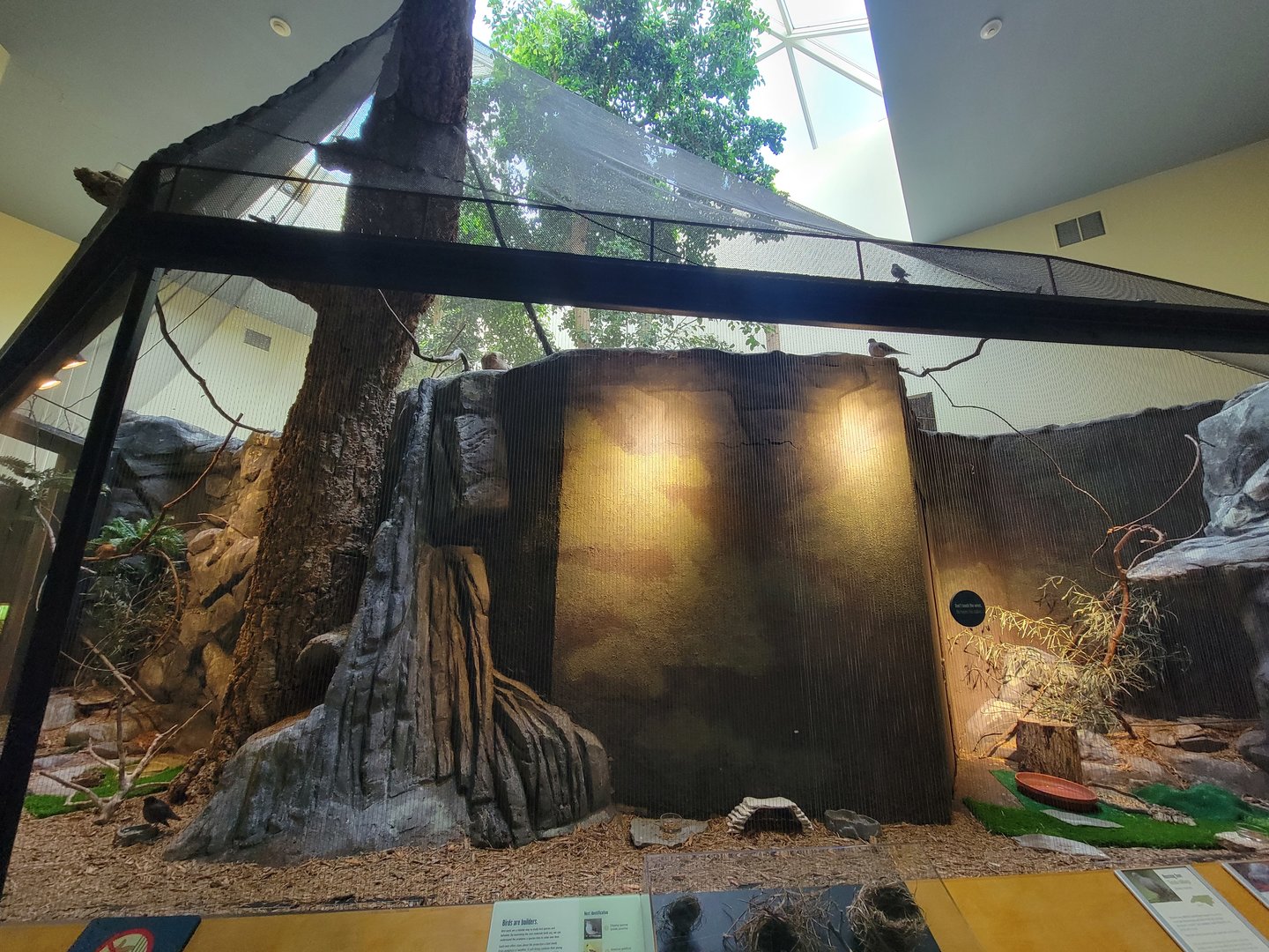 Museum of Life+Science - Carolina Wildlife, Aviary