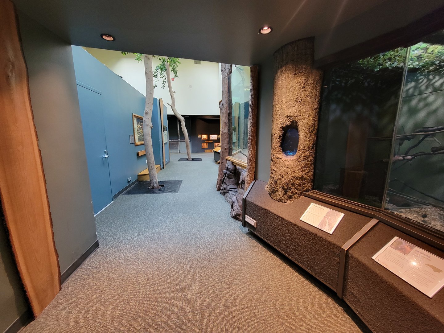 Museum of Life+Science - Carolina Wildlife first look inside doors