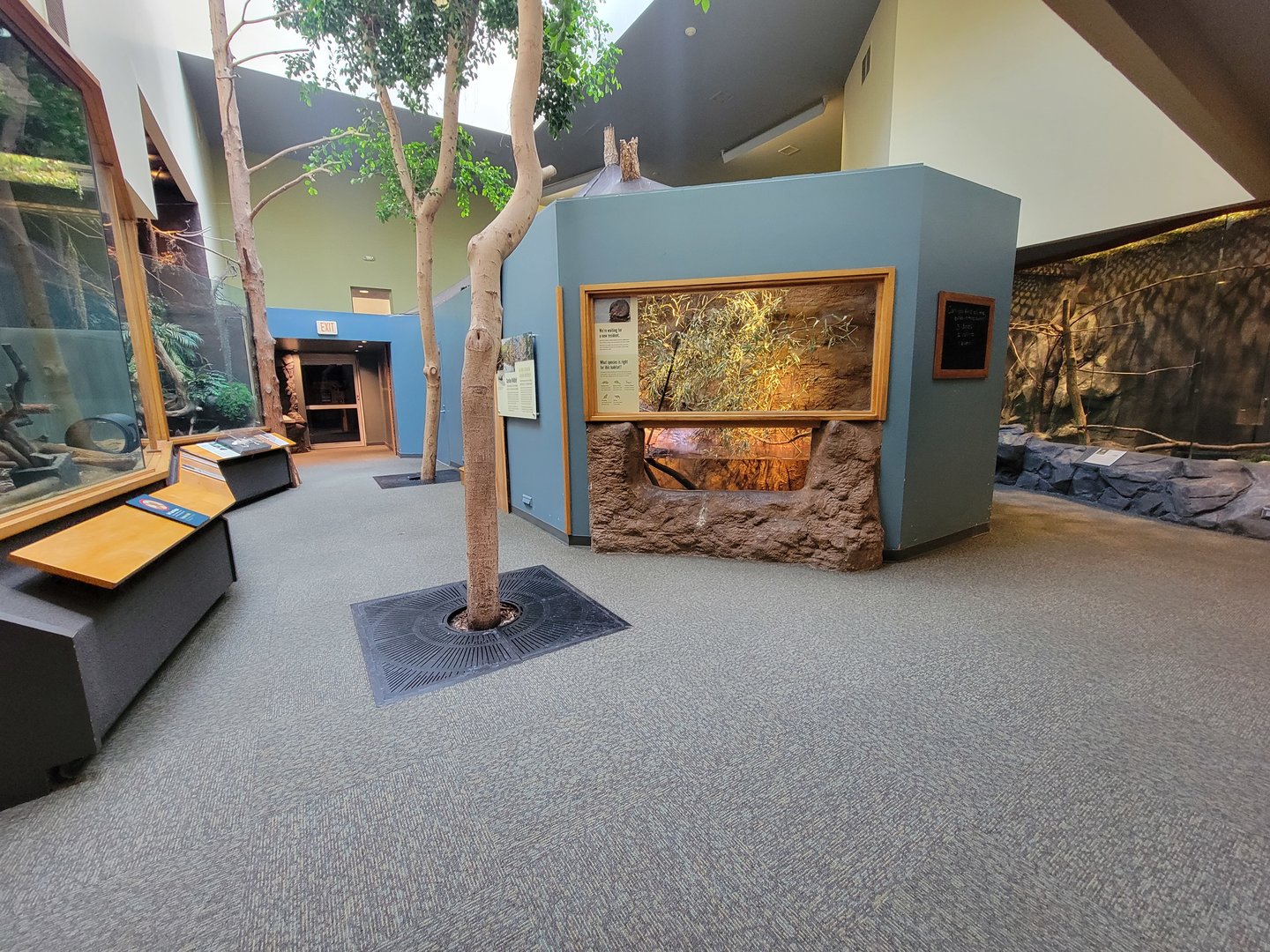 Museum of Life+Science - Carolina Wildlife, former muskrat exhibit, looking back to entrance
