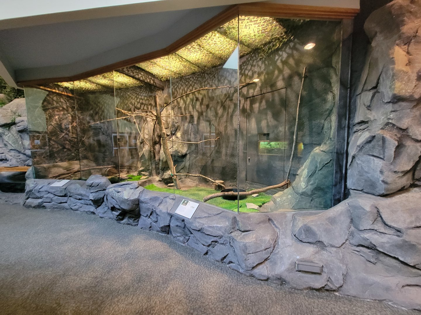 Museum of Life+Science - Carolina Wildlife, Merlin