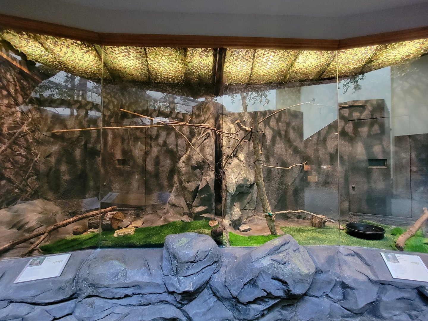 Museum of Life+Science - Carolina Wildlife, Merlin