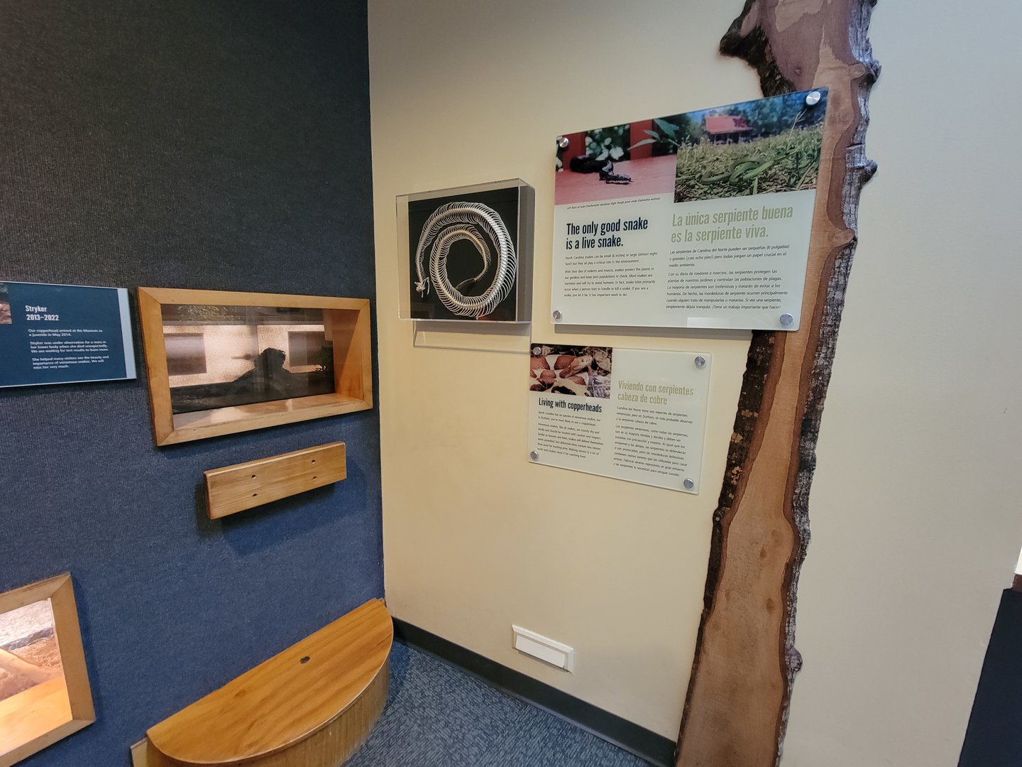 Museum of Life+Science - Carolina Wildlife, snake signage, former copperhead exhibit