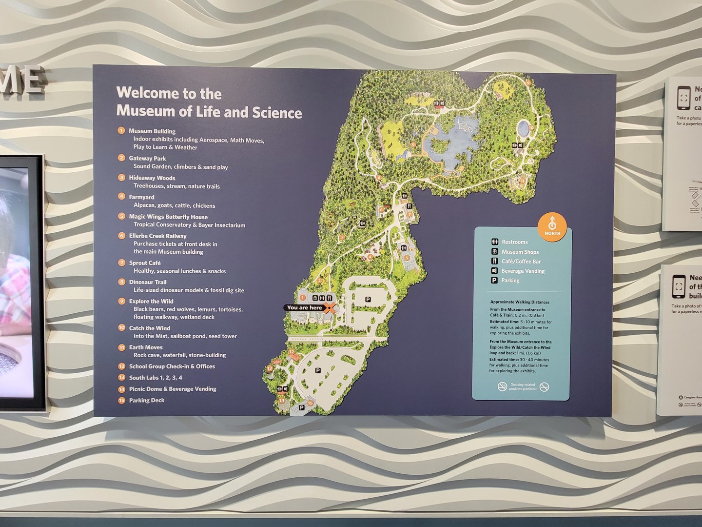 Museum of Life+Science - Detailed map
