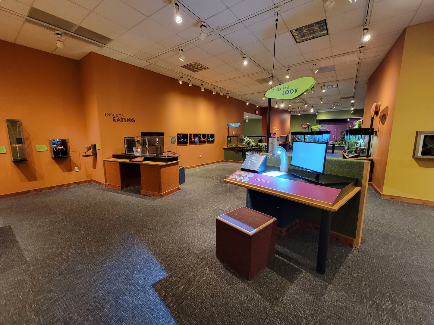 Museum of Life+Science - Magic Wings, Bayer Insectarium from back