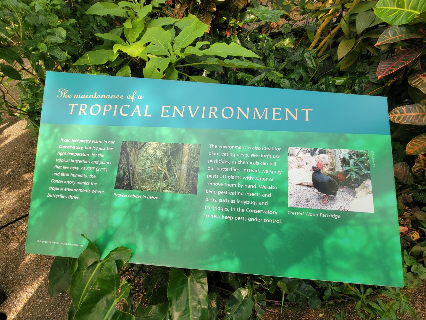 Museum of Life+Science - Magic Wings, butterfly conservatory signage