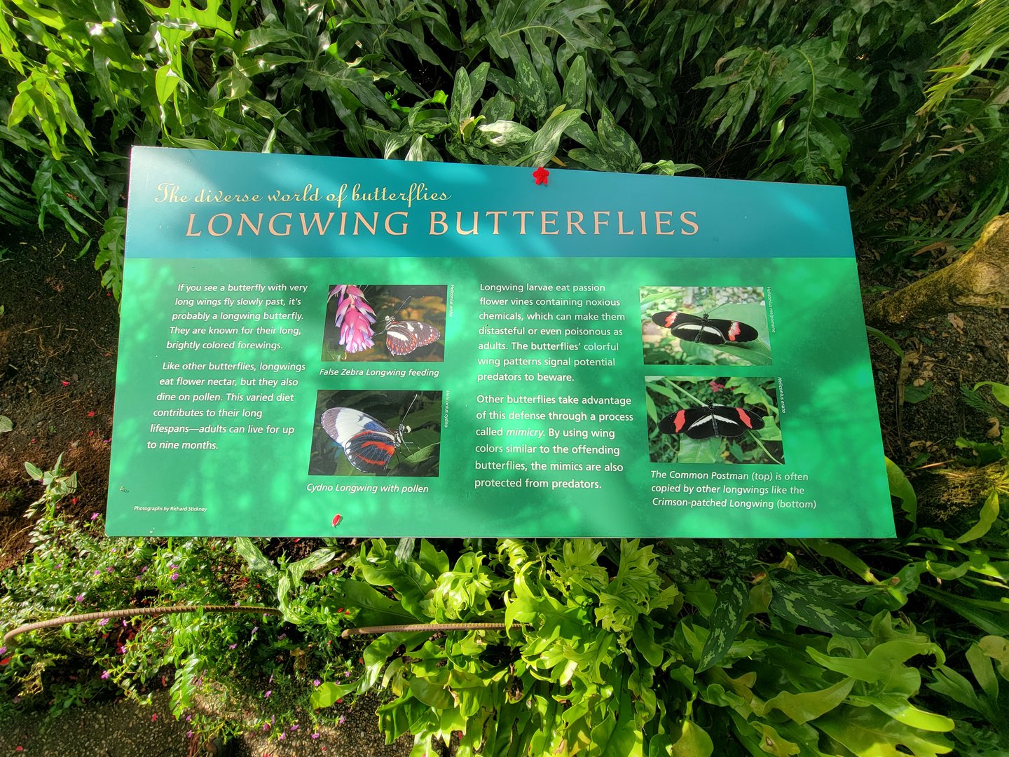 Museum of Life+Science - Magic Wings, butterfly conservatory signage