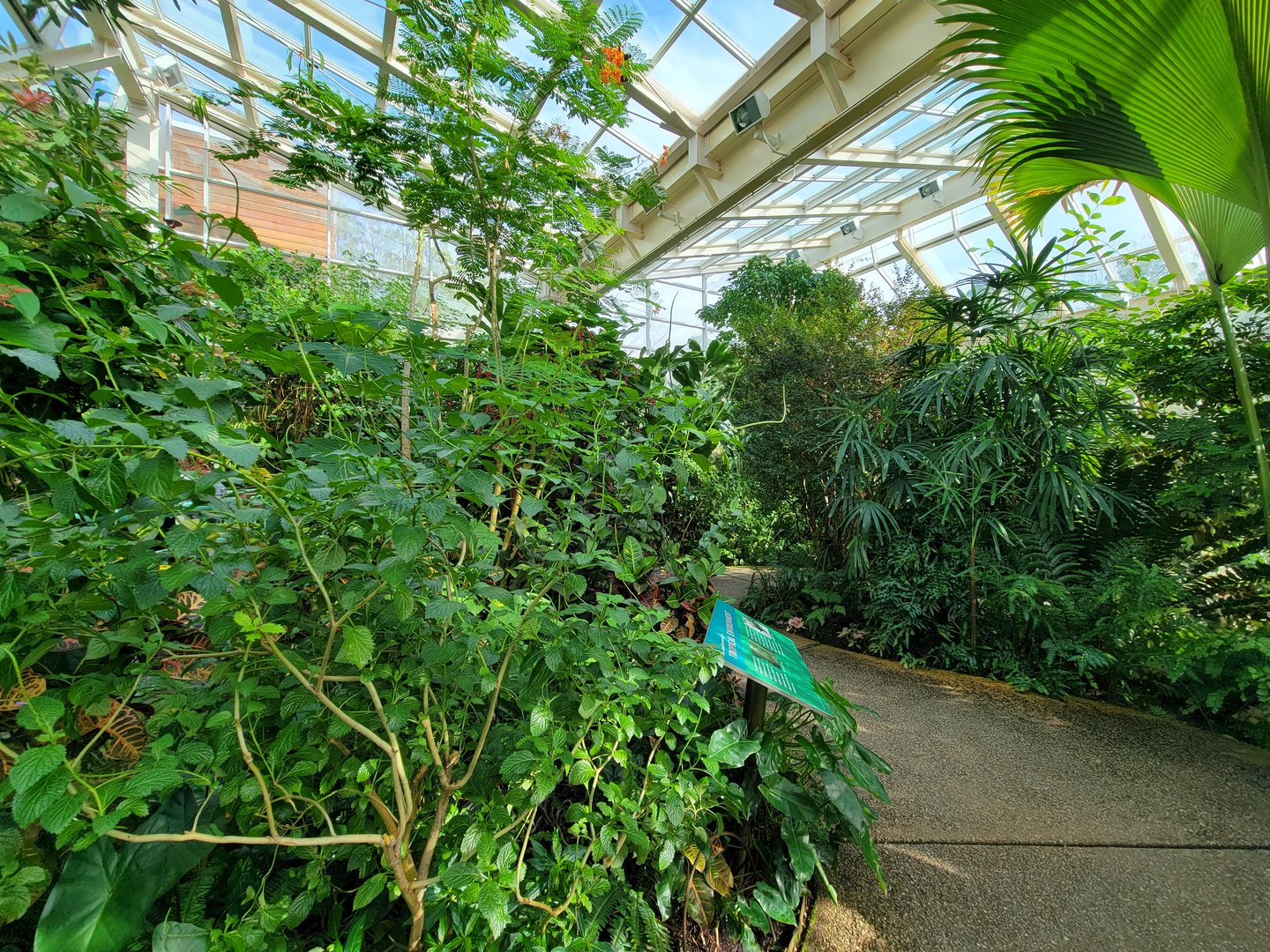 Museum of Life+Science - Magic Wings, butterfly conservatory