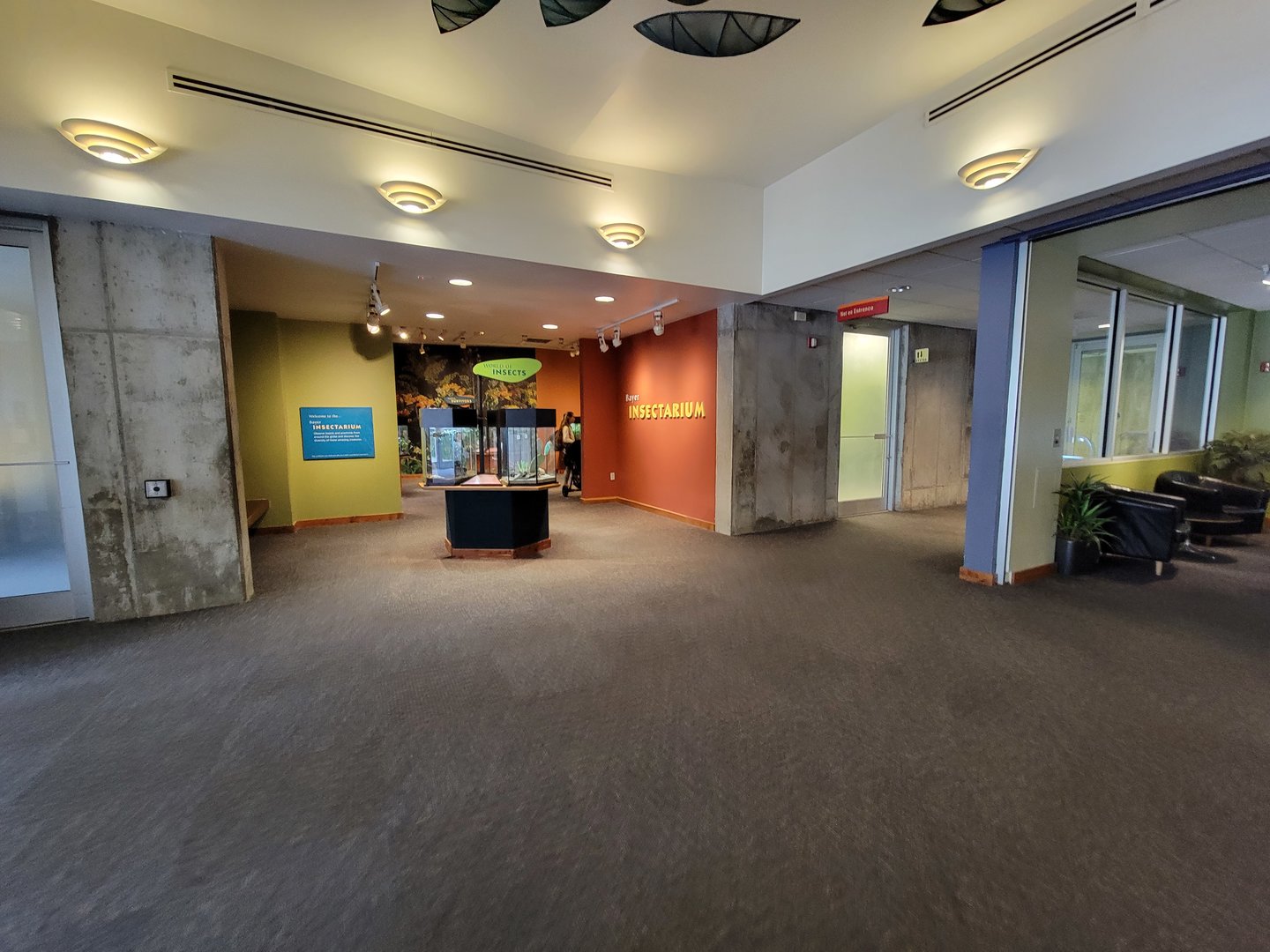 Museum of Life+Science - Magic Wings Butterfly House, Bayer Insectarium