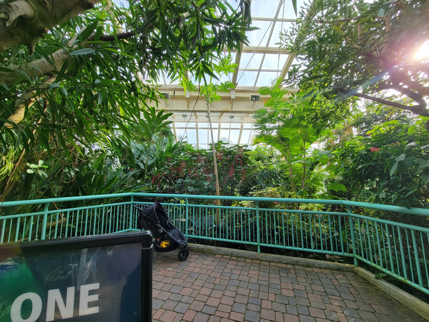 Museum of Life+Science - Magic Wings, inside the butterfly conservatory