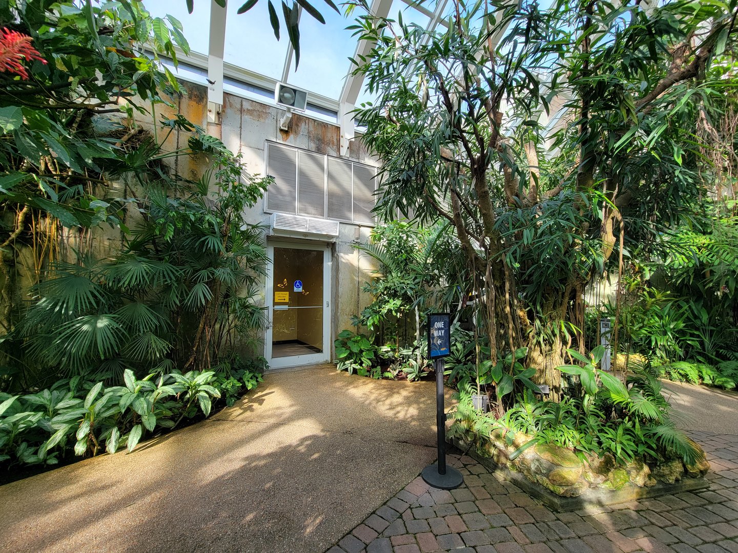 Museum of Life+Science - Magic Wings, looking back at entrance to conservatory