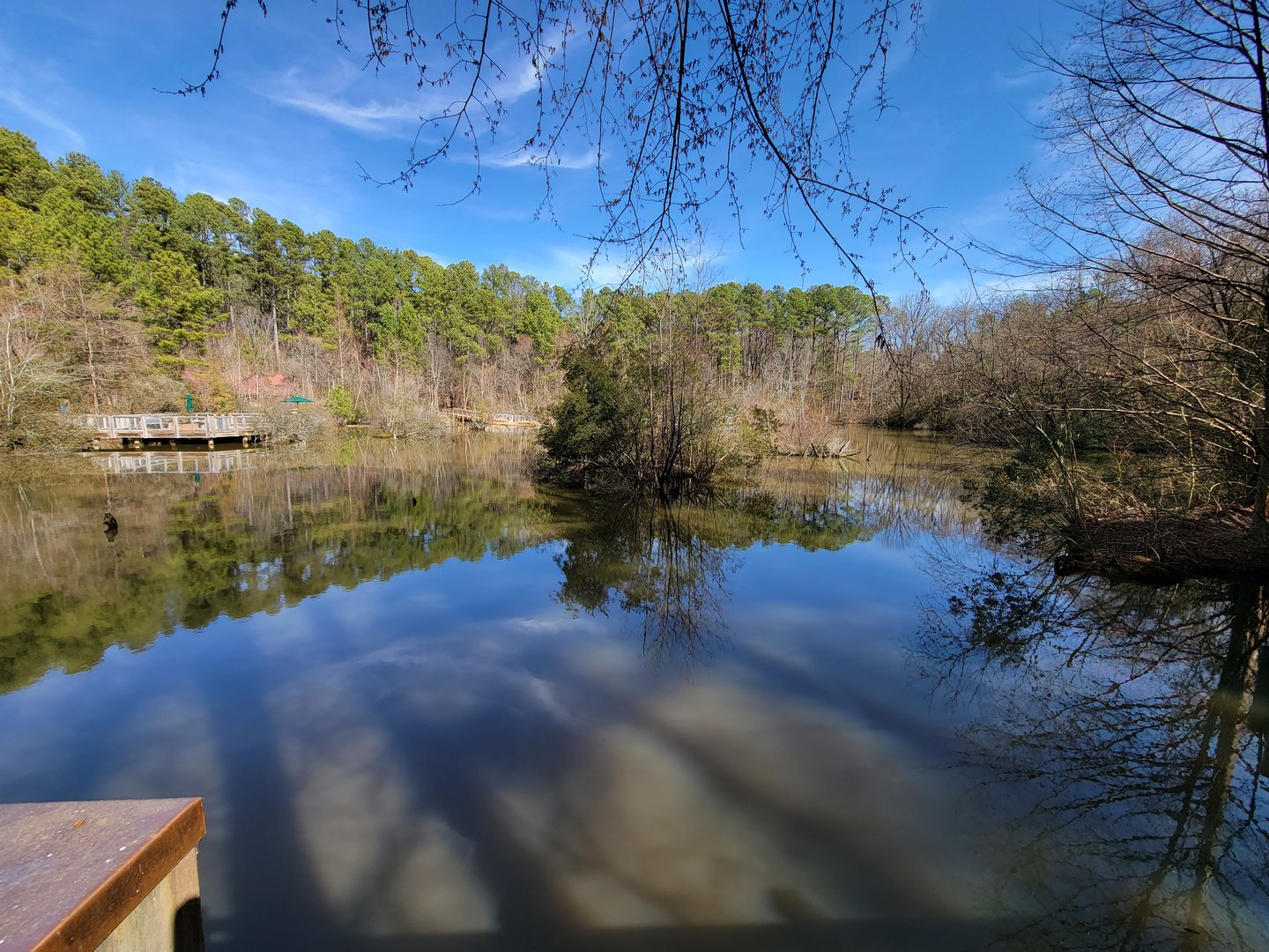 Museum of Life+Science - Marsh