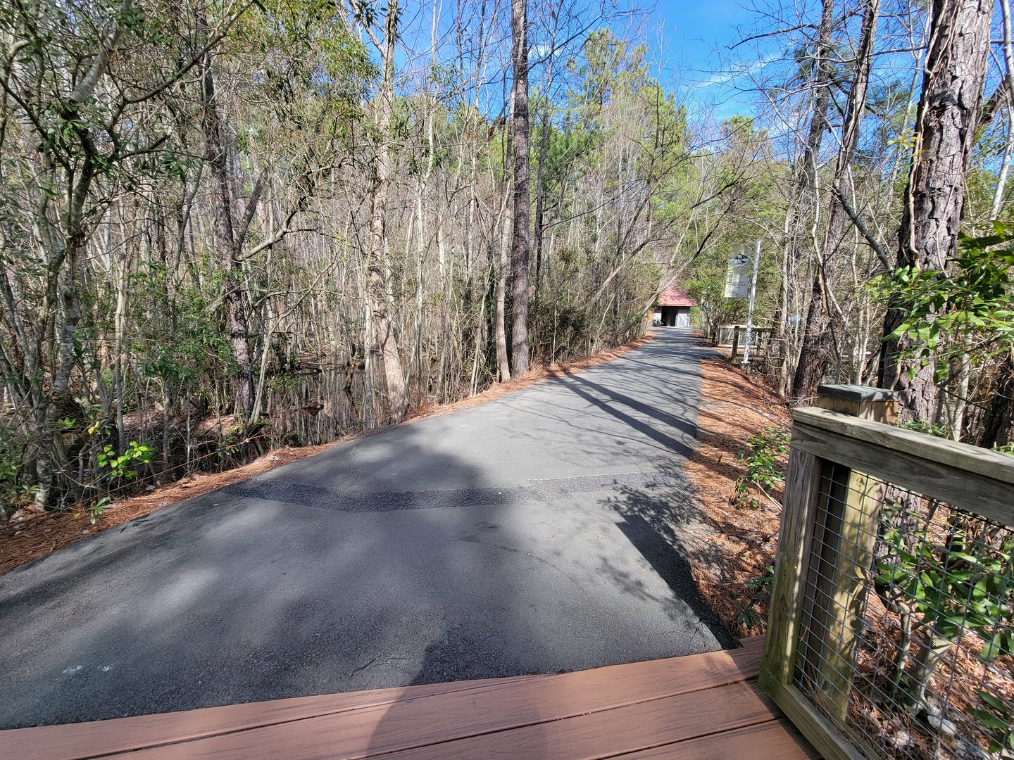 Museum of Life+Science - Path between exhibits