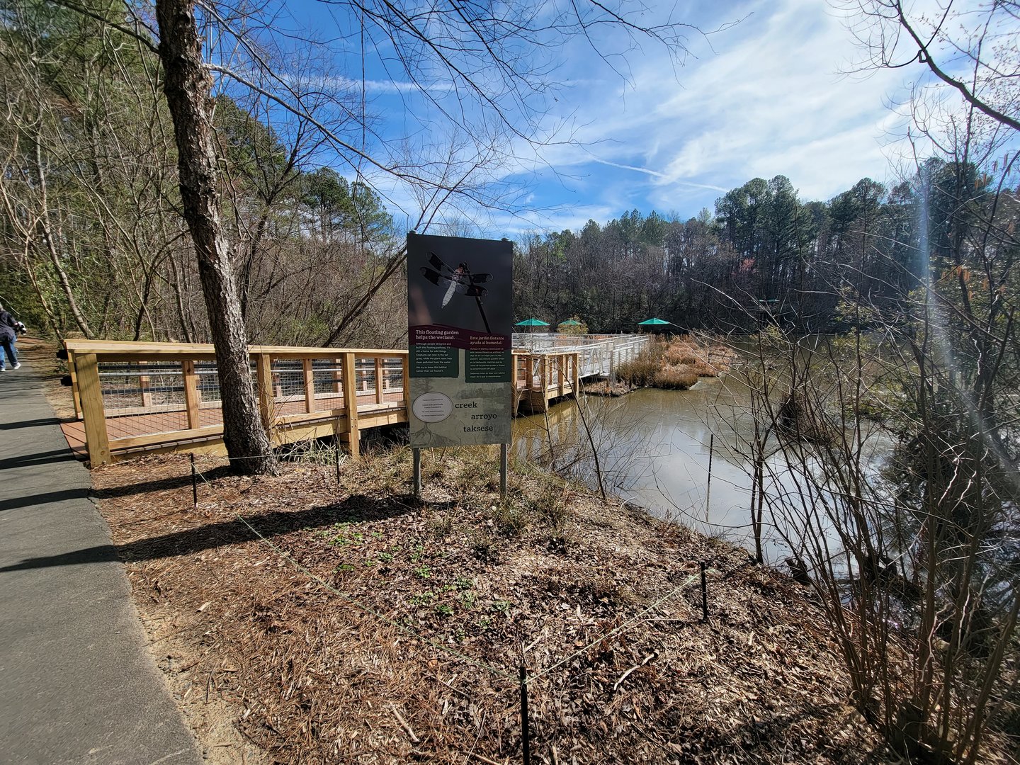 Museum of Life+Science - Pond boardwalk