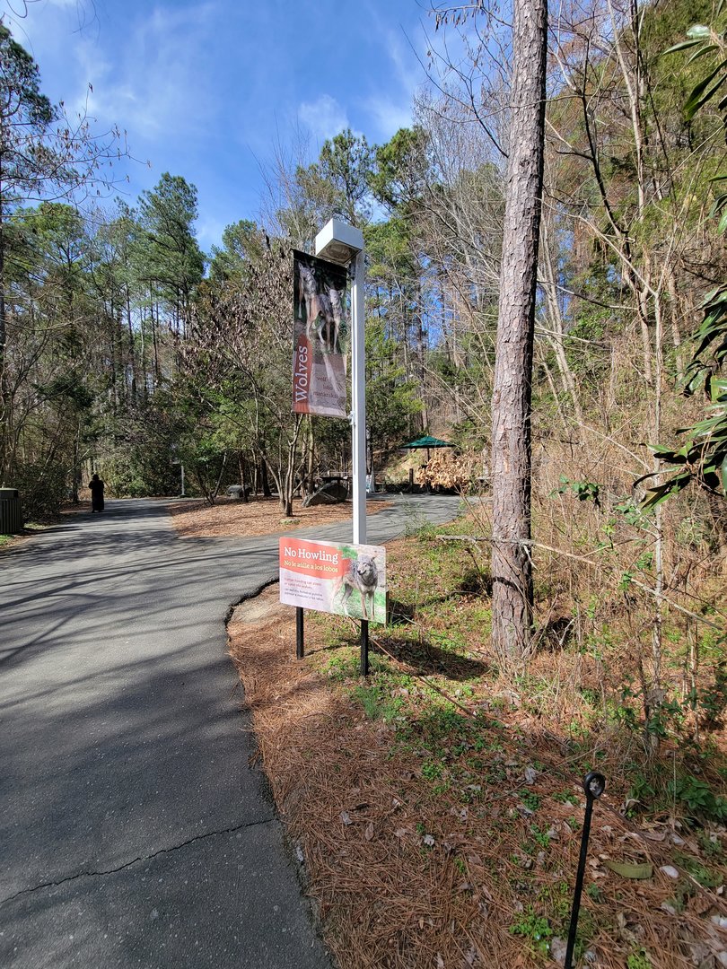 Museum of Life+Science - Red wolves