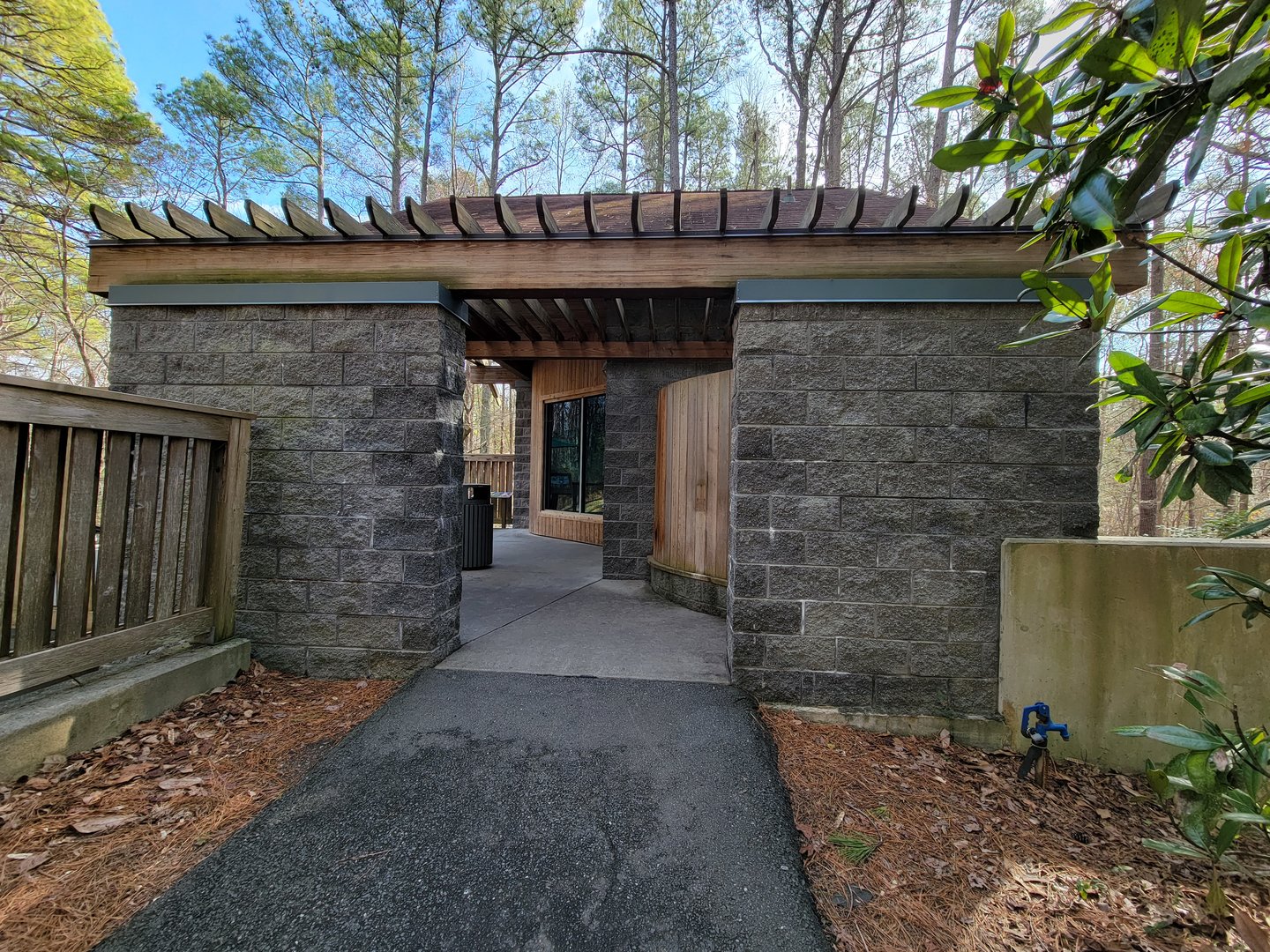 Museum of Life+Science - Ring-tailed lemurs and radiated tortoises