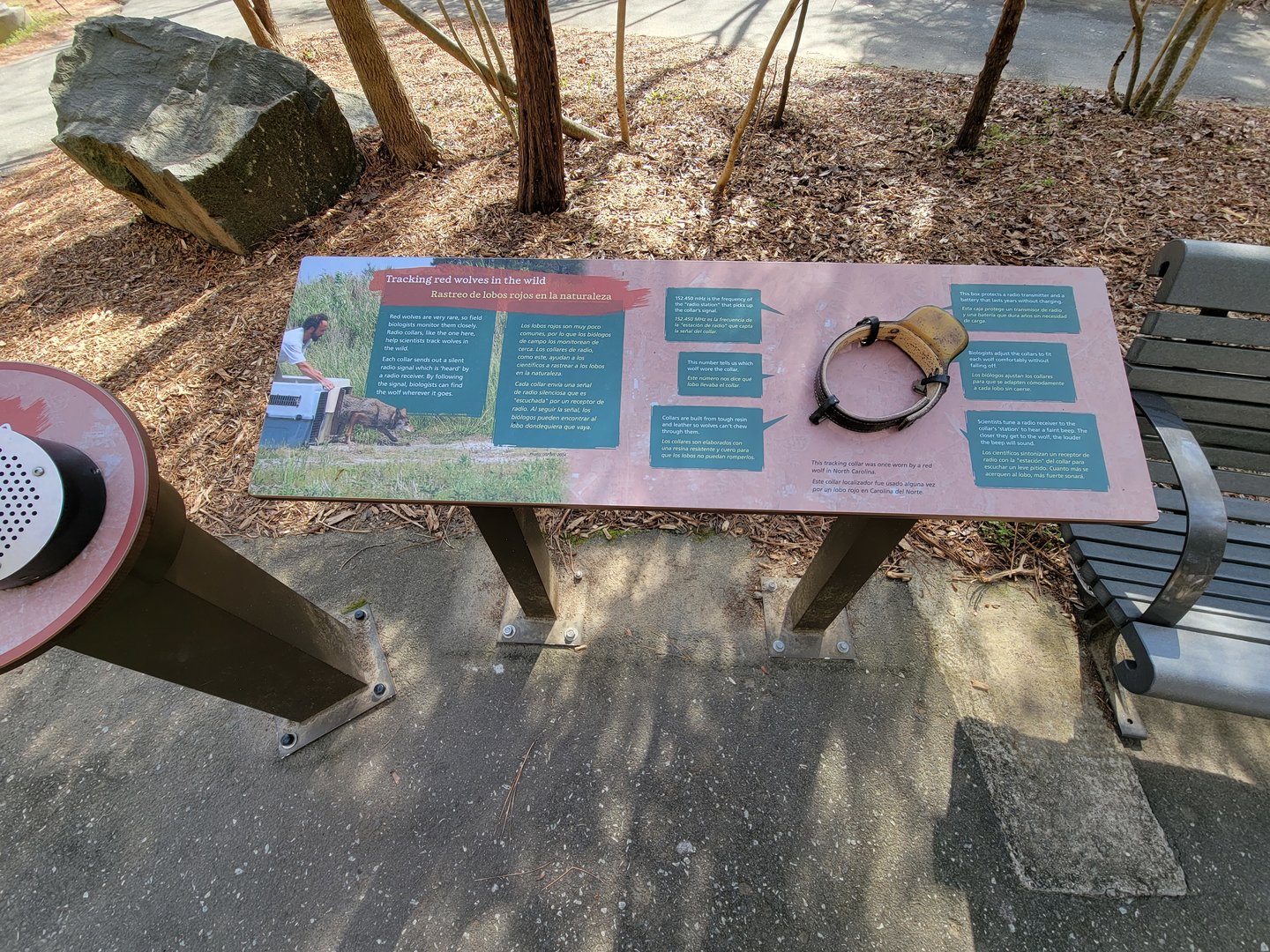 Museum of Life+Science - Tracking red wolves