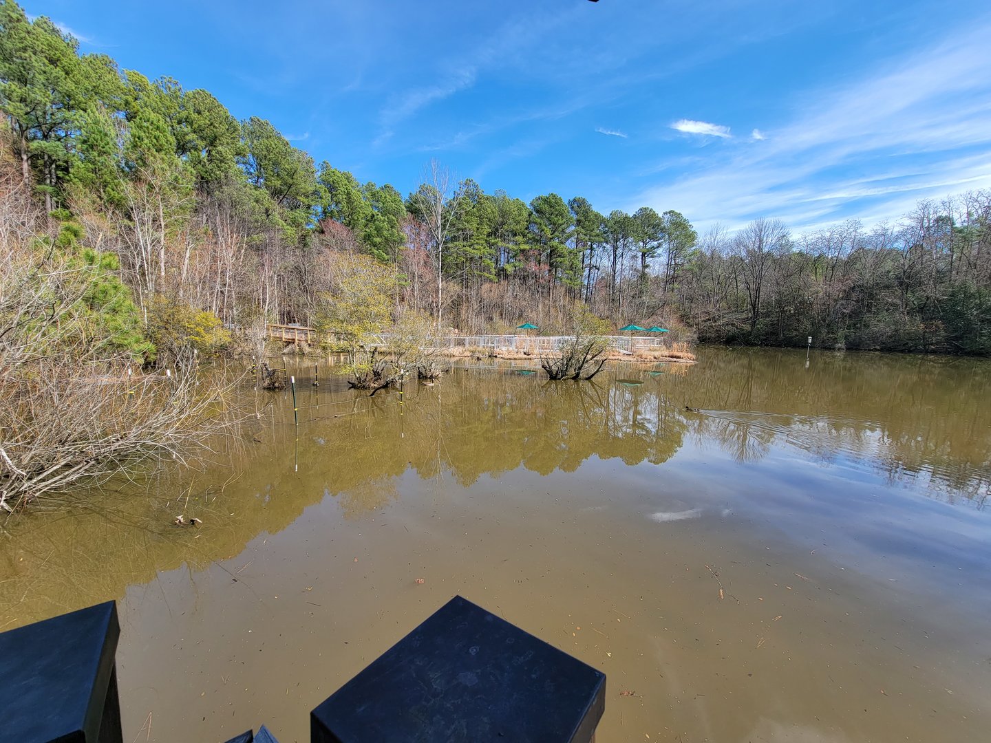 Museum of Life+Science - Wetlands, boardwalk into pond