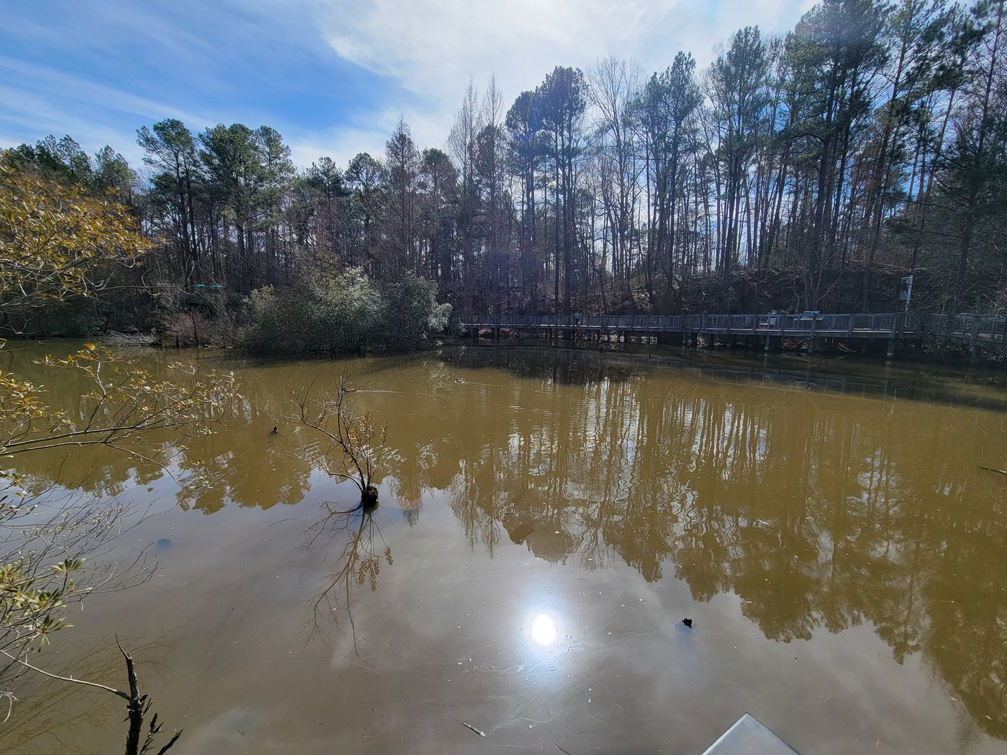 Museum of Life+Science - Wetlands, view of boardwalk in previous photos