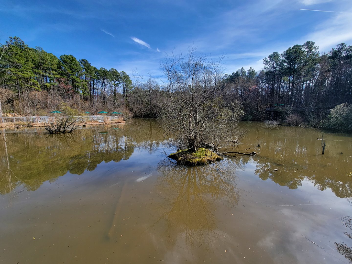 Museum of Life+Science - Wetlands