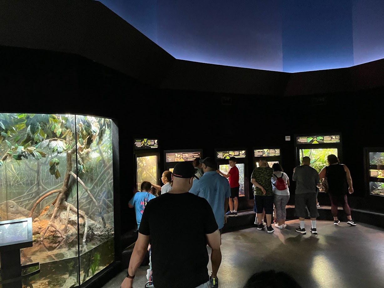 Museum of Living Art (MOLA) Interior