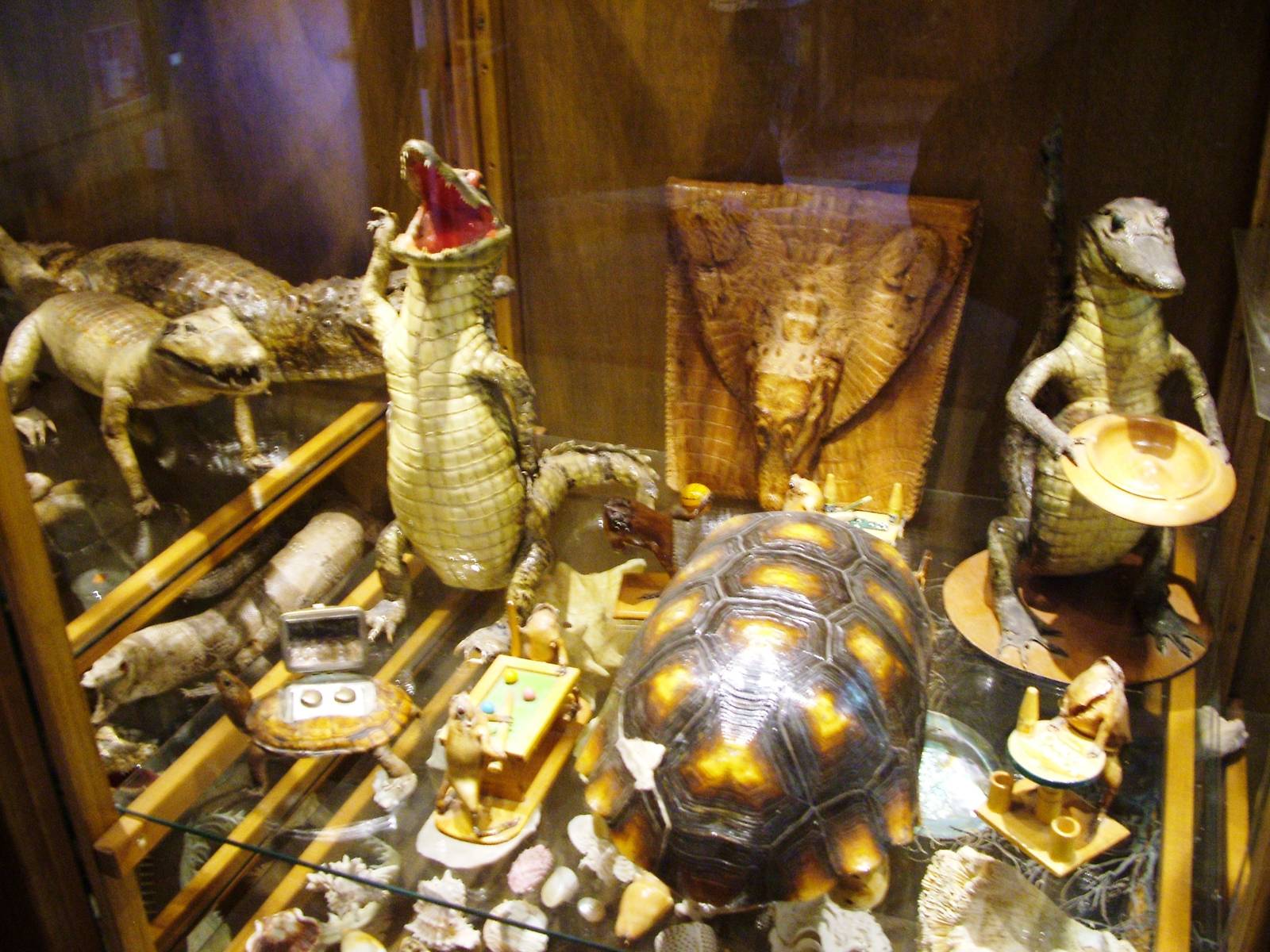 Museum of Oddities at Amersfoort, 01/06/12