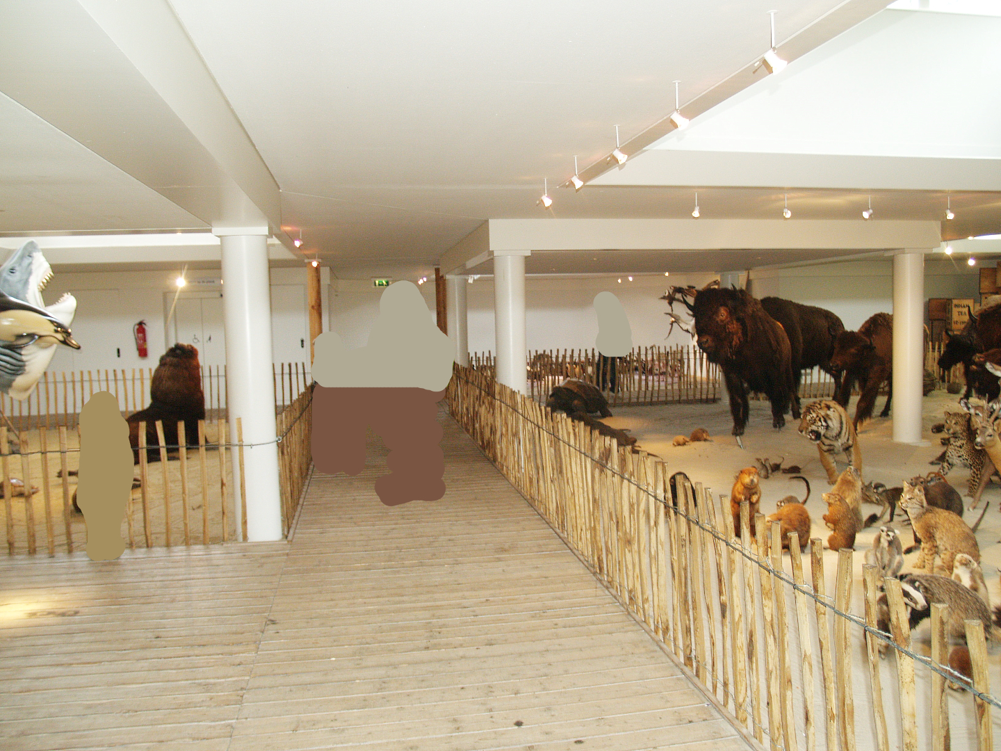 Museum part of the Africa House, 2008-03-01