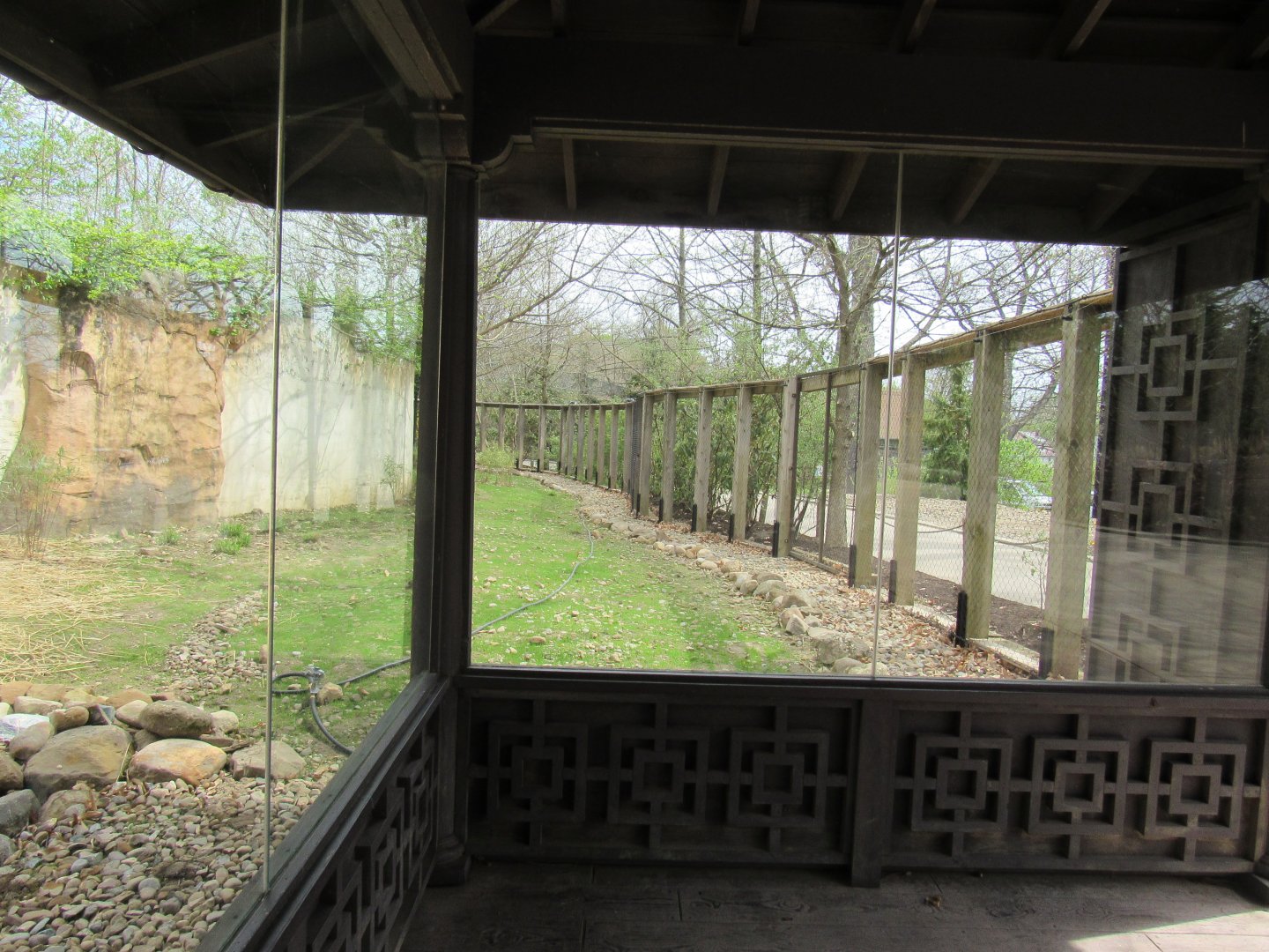 Musk Deer Exhibit Porgress