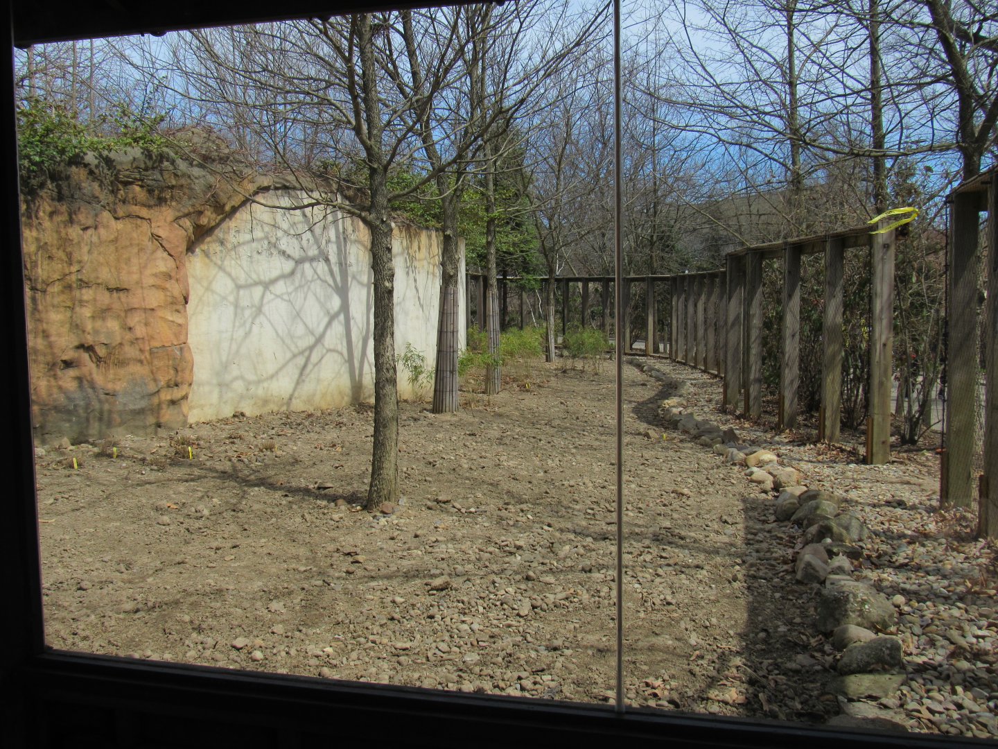 Musk Deer Exhibit Renovation