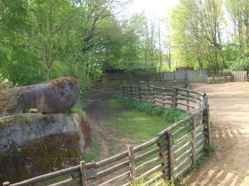 Musk ox corridor (May 2nd, 2015)