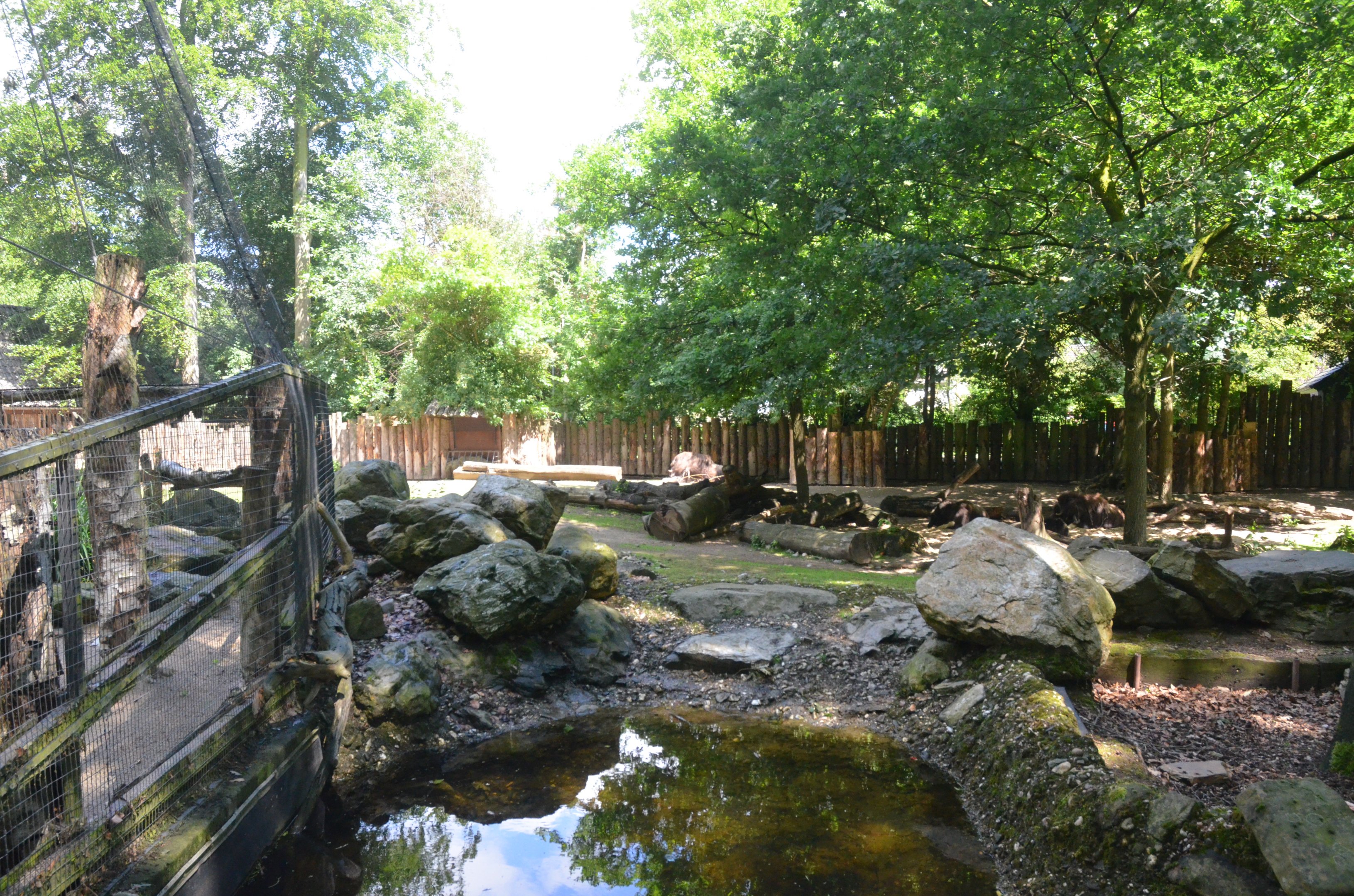 Musk Ox Enclosure adjoining Snowy Owl Aviary at Krefeld, 15/06/19
