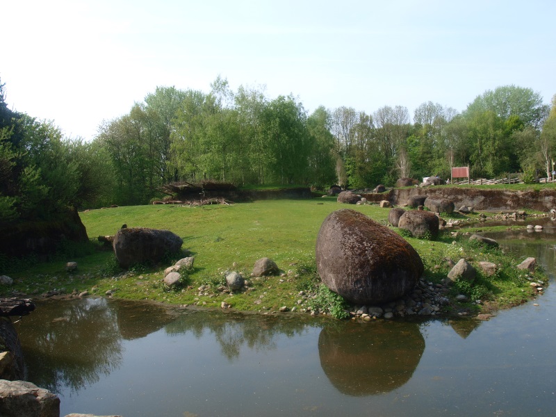 Musk ox enclosure (May 2nd, 2015)