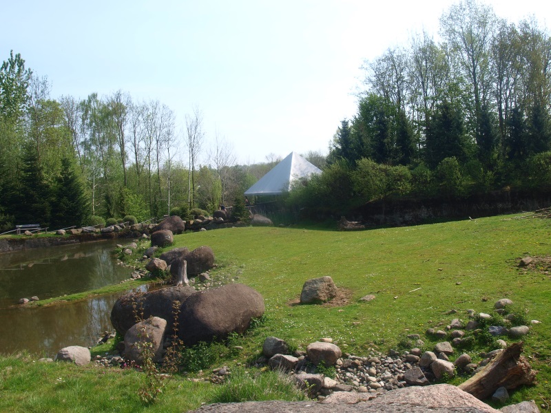 Musk ox enclosure (May 2nd, 2015)