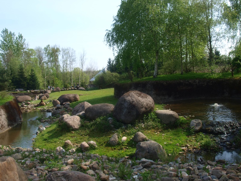 Musk ox enclosure (May 2nd, 2015)